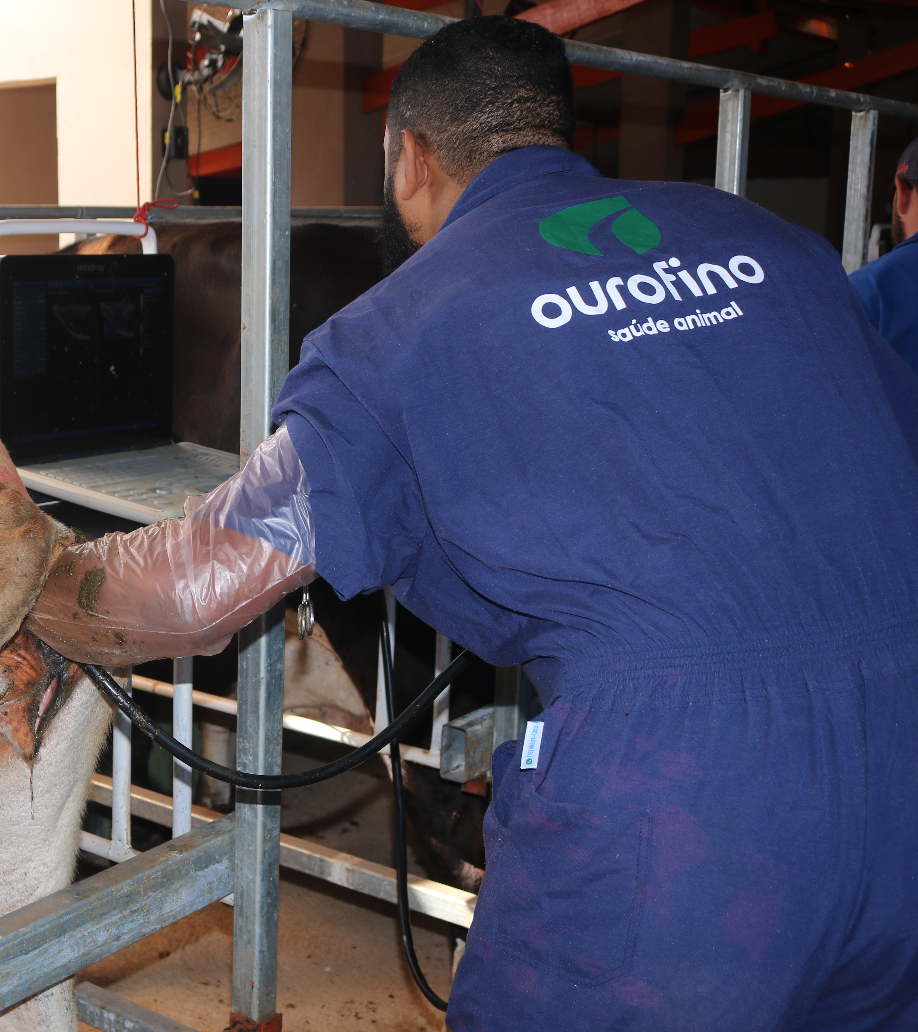 Protocolo Ourofino